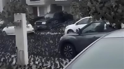 آلاف الطيور تغزو المكسيك.. ونشطاء: مؤشر على كارثة قادمة (فيديو)