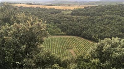 اكتشاف فوهة نيزك ضخمة في جنوب فرنسا (فيديو)