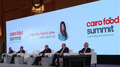 وزير التموين: زيادة السعة التخزينية للصوامع بنحو 600 ألف طن قريبا 