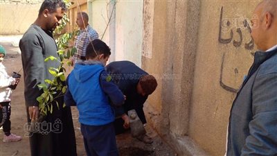 زراعة أشجار مثمرة بقرى ومدينة ديرمواس بالمنيا