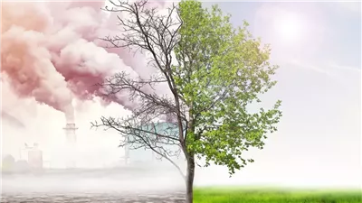 إحصائياتٌ صادمةٌ تكشف ازدياد حدة ظواهر الطقس المتطرف.. اشتداد موجات الحر بنسبة 50% خلال العقود الأربعة الماضية.. و10 تريليونات دولار سنويًا تكلفة الخسائر بحلول 2050