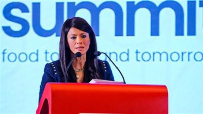 المشاط: الأمن الغذائي أولوية قصوى في رؤية الدولة وبرامجنا مع شركاء التنمية 