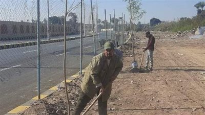 بدء زراعة 100 ألف شجرة مثمرة في بني سويف