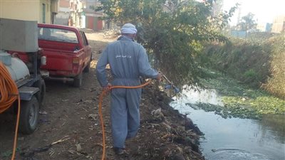 صحة الشرقية: استمرار مكافحة الحشرات الناقلة والبعوض بالترع 