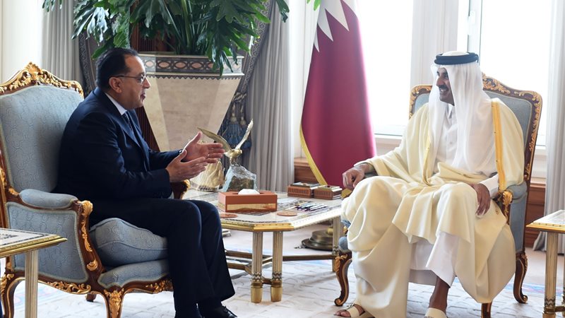 لقاء رئيس الوزراء
