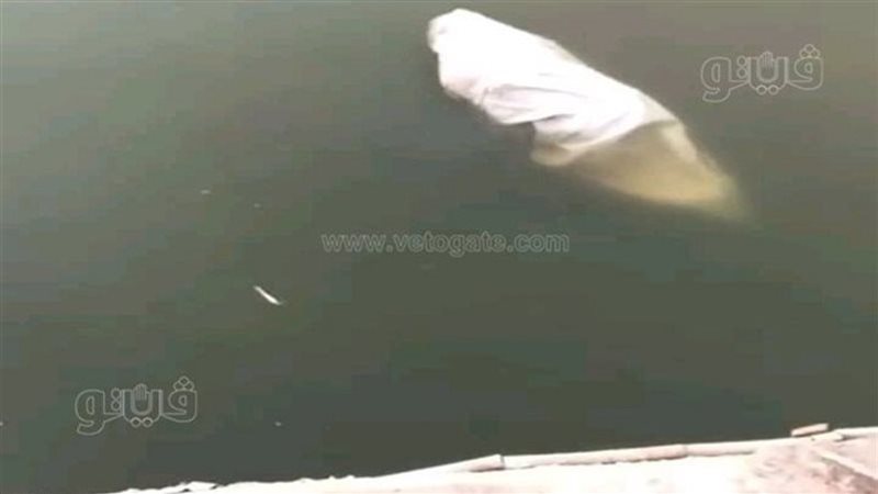 جثة طافية بمياه النيل،
