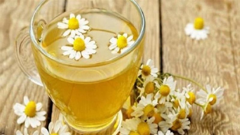 البابونج وفوائده،