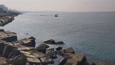 معهد بحوث الشاطئ يكشف سر تغير لون البحر في الإسكندرية وانحسار المياه (فيديو)