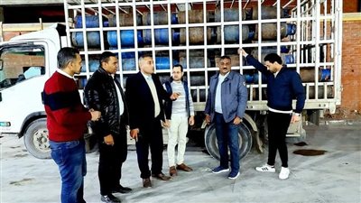 ضبط 245 أسطوانة غاز منزلية بالدلنجات قبل بيعها بالسوق السوداء (صور)