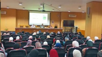 الترجمة العلمية الآليات وتحديات التلقي ندوة بألسن عين شمس