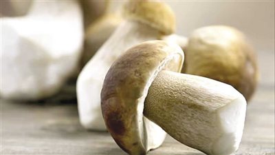 فوائد المشروم، يحمي خلايا الجسم والقلب والأفضل لمرضى السكري