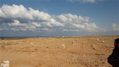 أخبار العقارات اليوم.. 30 % ارتفاعًا في إيجار العقارات بسبب الأزمة السودانية.. وتفاصيل طلب إلغاء تخصيص شقة أو قطعة أرض إلكترونيا