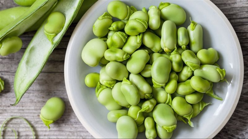 الفول الأخضر وفوائده،