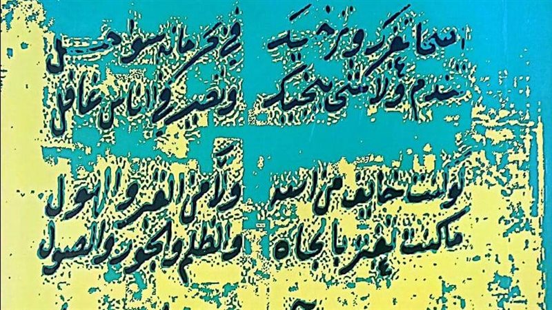 غلاف الكتاب، فيتو