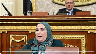 وزيرة التضامن الاجتماعى فى مرمى انتقادات البرلمان (إنفوجراف)