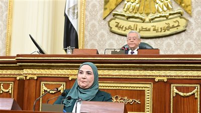  وزيرة التضامن تلقي الكرة بملعب النواب بعد الهجوم عليها