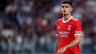 ريال مدريد يسعى للتعاقد مع صخرة دفاع بنفيكا البرتغالي