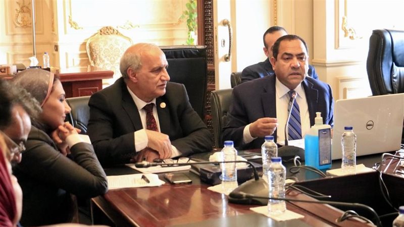 رئيس التنظيم والإدارة