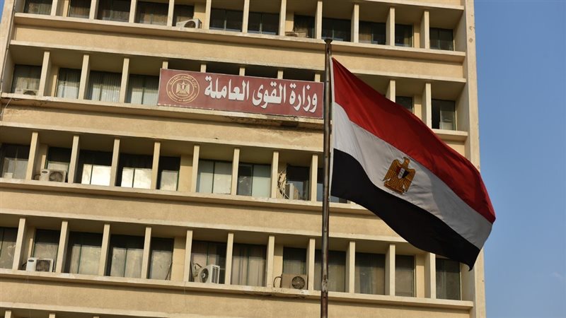 وزارة القوى العاملة،فيتو