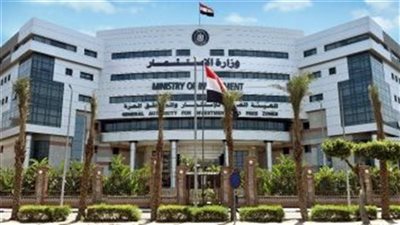 قانون الاستثمار، ضوابط تخصيص الأراضي الاستثمارية لإقامة المشروعات