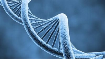 سلوكيات خاطئة تؤثر على جيناتك احذريها