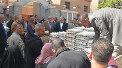 القليوبية تعلن توفير كرتونة البيض للمواطنين بـ 95 جنيها 