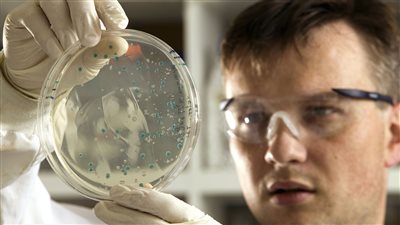 باحث بطب نيويورك يحذر من انتشار سلالة جديدة للبكتيريا (فيديو) 