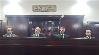 كلمات مؤثرة للمستشار بهاء المري في قضية تعذيب معيدة جامعية لابنها وإجباره على التسول (فيديو)