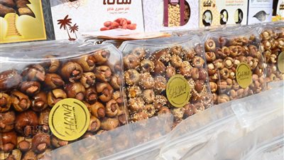 وزير الزراعة ومحافظ الجيزة يتفقدان أجنحة العارضين بمهرجان التمور الثامن (فيديو)