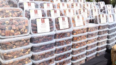 افتتاح المهرجان الدولي الثامن للتمور بالواحات البحرية وسط إقبال كثيف (فيديو) 