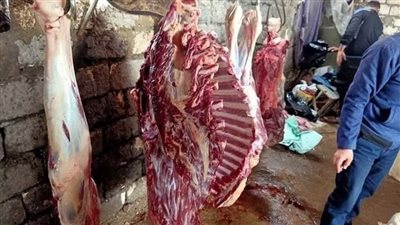 ضبط لحم حصان قبل بيعه للمواطنين في الدقهلية (صور)