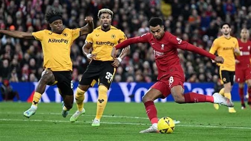 ليفربول ضد وولفرهامبتون،