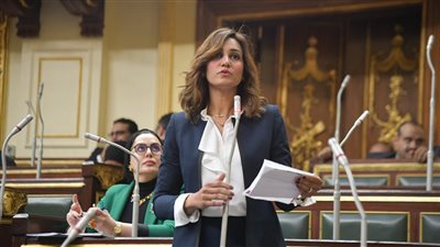 تعليم النواب تطالب بالتوسع في توفير المنح لطلاب الجامعات