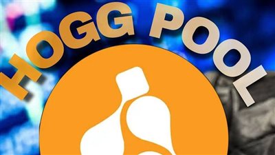 مشاهد جديدة وحكايات صادمة لضحايا مستريح الإنترنت هوج بول 