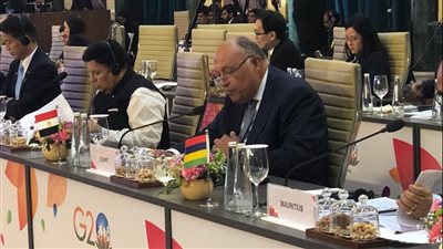 شكري يُشارك في اجتماع وزراء خارجية مجموعة العشرين حول مكافحة الإرهاب 