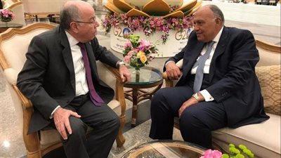 مصر والبرازيل يؤكدان أهمية استمرار تنشيط اتفاقية التجارة الحرة بينهما 