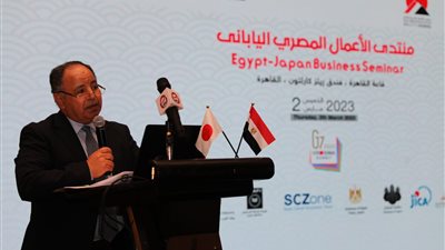 وزير المالية: مصر تنفتح على العالم باقتصاد أكثر تنوعًا وجذبًا للاستثمارات