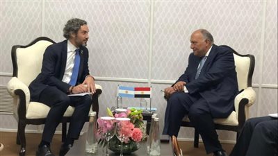 سامح شكري يلتقي نظيره الأرجنتيني على هامش اجتماعات مجموعة العشرين 