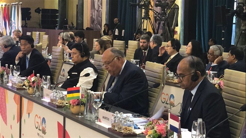 سامح شكرى وزير الخارجية