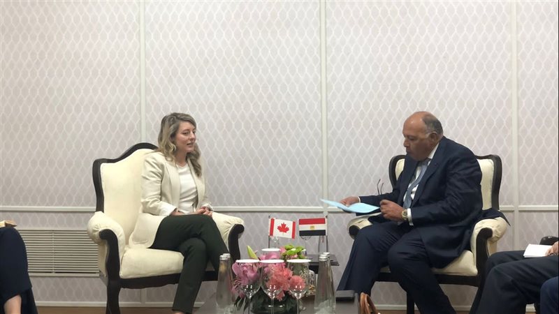 سامح شكرى وزير الخارجية