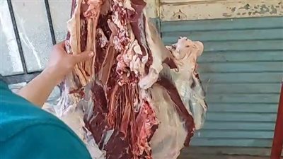 شباب يطلقون مبادرة لبيع اللحوم بسعر التكلفة في قرية البرنس بالفيوم