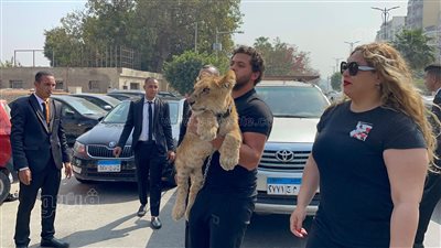 أشرف الحلو يصل انتخابات المهن التمثيلية بصحبة أسد (فيديو وصور)