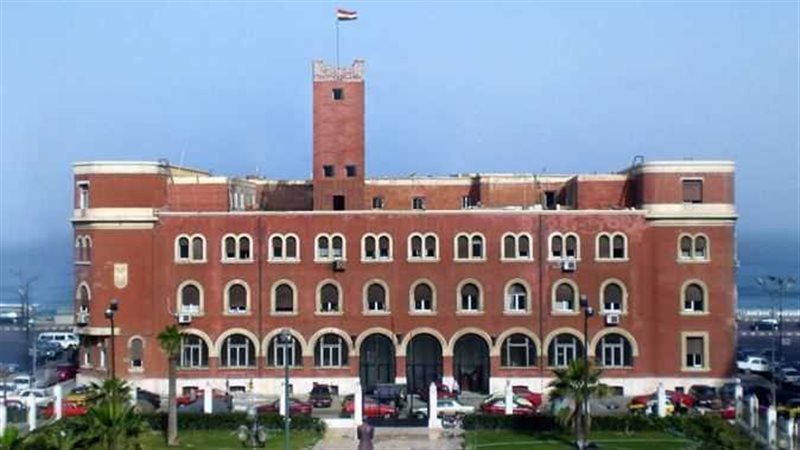 جامعة الإسكندرية،