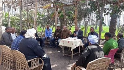 زراعة الشرقية: تنفيذ مدرسة حقلية لمقاومة سوسة النخيل بالجوسق 