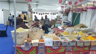 إقبال كثيف من أهالي البحيرة على معارض أهلا رمضان (فيديو)