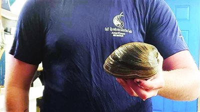 أمريكي كاد يطهو بطلينوس عمره 200 عام 