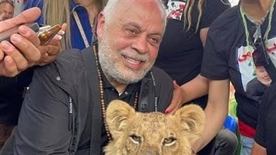 أشرف زكي بعد فوزه بانتخابات نقابة المهن التمثيلية: أنا ما بخافش من الأسود (فيديو)