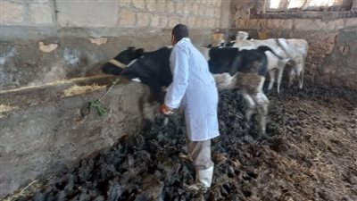 التنظيم والإدارة يعلن عن وظائف قيادية واشرافية بمديرية الطب البيطري بالمنوفية 