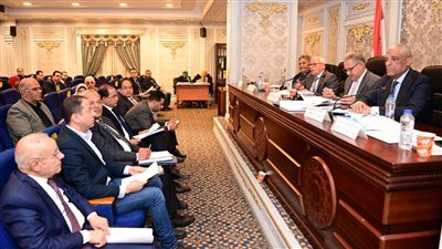 مطالب برلمانية بحل أزمة البطاقات الاستيرادية ببورسعيد والمحافظ: لا أحد فوق القانون