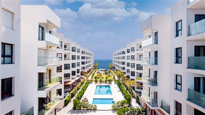 بورتو سعيد تطرح مشروعا تجاريا إداريا طبيا في غرب بورسعيد